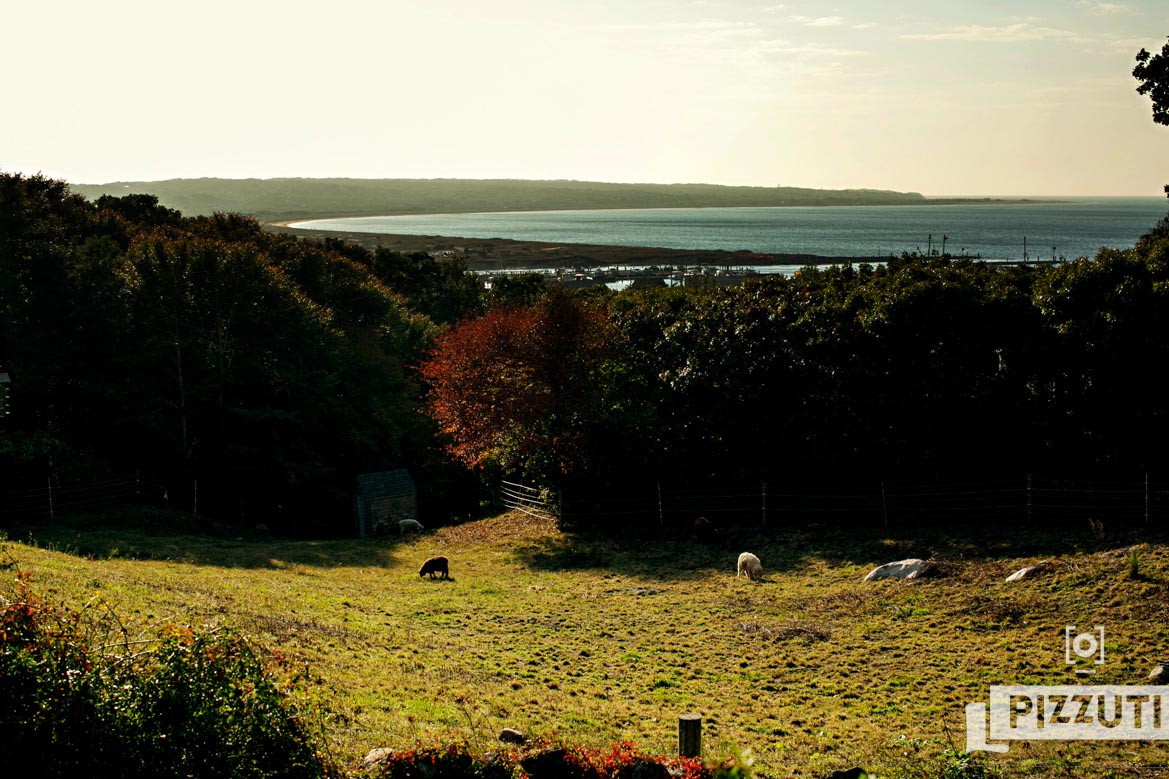 An October Beach Plum Inn Wedding