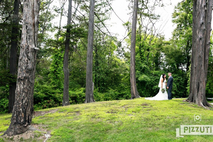 stevens-estate-wedding-reception